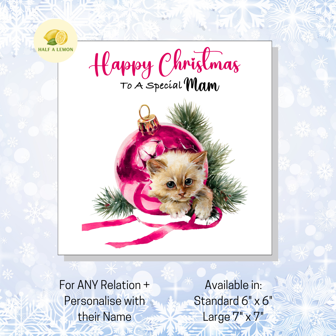 Cute Kitten Xmas- [REL:Mam]